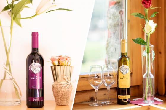 Œnotourisme dans un château - 1 nuit avec dégustation de vin et assiette valaisanne | en été 8 