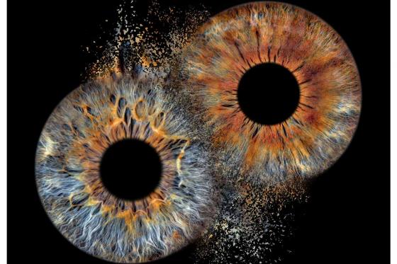 Photo d'iris en couple - 40x40cm, impression sur verre avec effet explosion, pour 2 personnes 2 