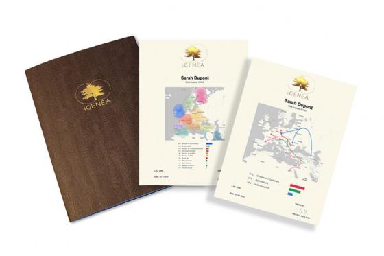 DNA Herkunftsanalyse - Entdecken Sie Ihre Familiengeschichte, für eine Person 7 