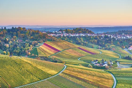3 Tage in Stuttgart - inkl. Tour auf Schwäbisch & Weintour 3 