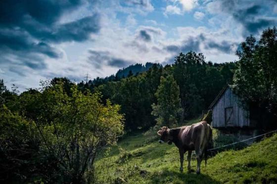 Bubble-Suite Übernachtung - unter dem Sternenhimmel mit Trottiabfahrt für 2  3 
