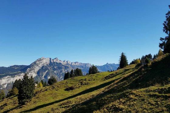 Bubble-Suite Übernachtung - unter dem Sternenhimmel mit Trottiabfahrt für 2  6 