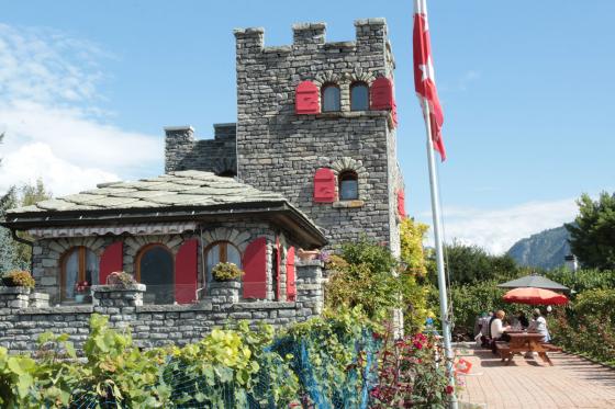 Dégustation de vins - visite de la cave et plateau Valaisan inclus, pour 4 personnes  