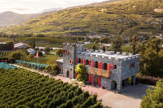 Dégustation de vins - visite de la cave et plateau Valaisan inclus, pour 4 personnes 2 