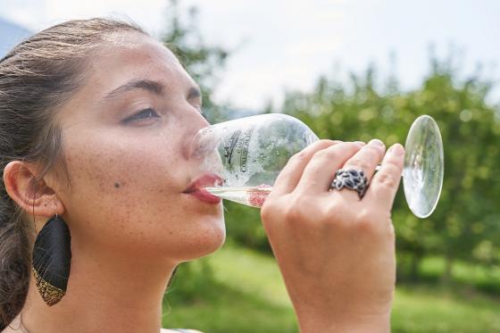 Dégustation de vins - visite de la cave et plateau Valaisan inclus, pour 4 personnes 11 