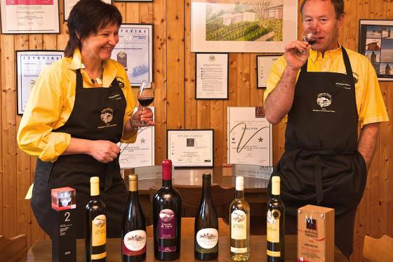 Dégustation de vins - visite de la cave et plateau Valaisan inclus, pour 4 personnes 13 