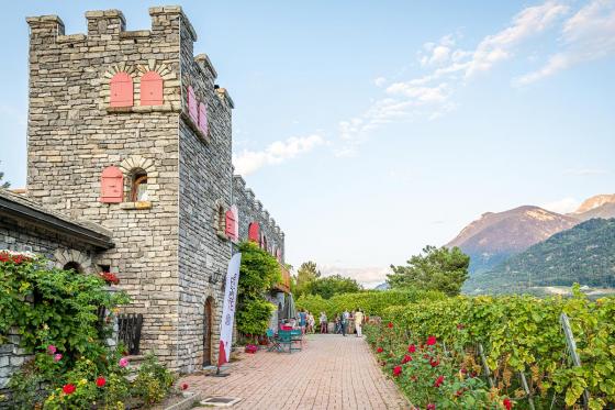 Dégustation de vins - visite de la cave et plateau Valaisan inclus, pour 4 personnes 15 