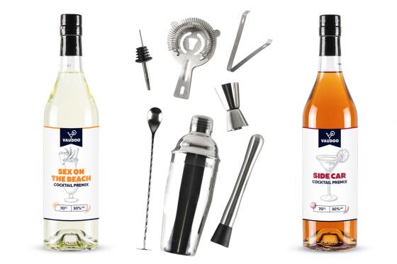 Cocktail Party a casa - buono regalo per 2 bottiglie di Premix Cocktail + 1 Shaker Set 1 [article_picture_small]