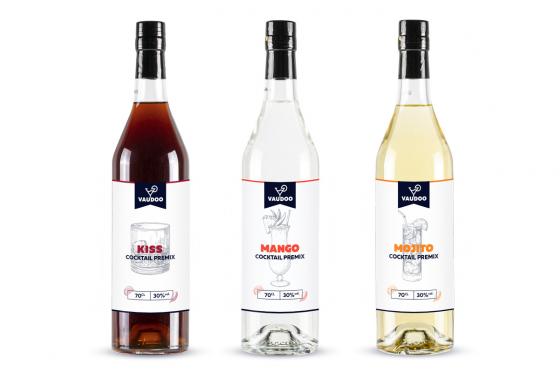 Cocktail Party a casa - buono regalo per 2 bottiglie di Premix Cocktail + 1 Shaker Set 4 [article_picture_small]