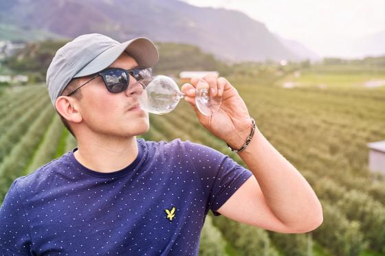 Weinverkostung - Besichtigung des Weinkellers und Walliser Platte inklusive, 6 Personen 12 