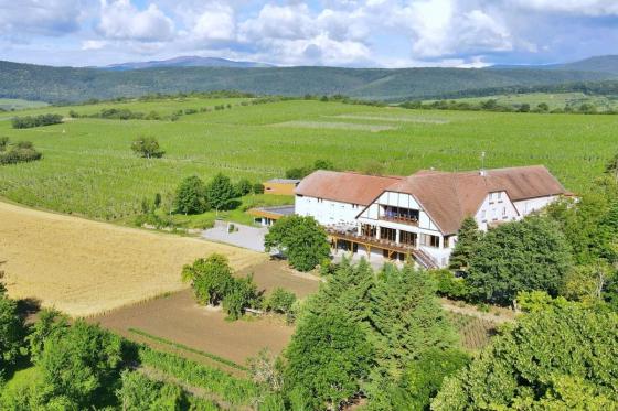Wellness Aufenthalt im Elsass - 1 Übernachtung mit Abendessen und Massage für 2 Personen 17 