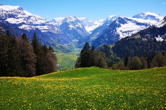 Nuit en tente suspendue - 1 nuit pour 2-4 personnes 5 