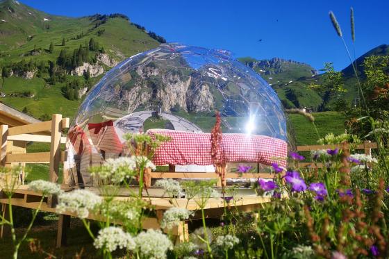 Nuit en igloo de verre - 1 nuit sous les étoiles pour 2 personnes 2 