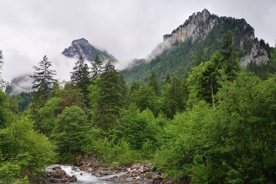 Nuit en igloo de verre - 1 nuit sous les étoiles pour 2 personnes 9 