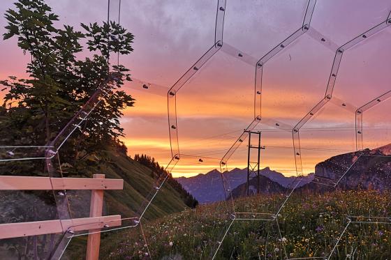 Nuit en igloo de verre - 1 nuit sous les étoiles pour 2 personnes 12 