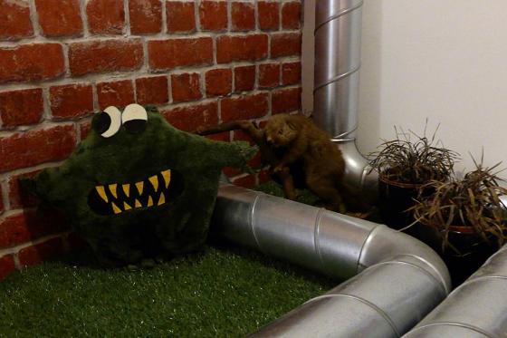 Escape Game Chocolaterie Monstr - Pour 2 à 6 personnes 2 