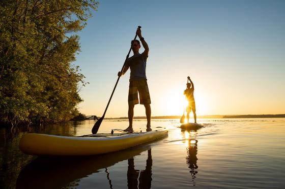 Scoperta dello Stand Up Paddle - sull'Aare con picnic e bevande incluse | 2 pers.  