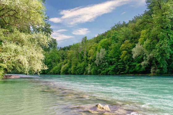 Scoperta dello Stand Up Paddle - sull'Aare con picnic e bevande incluse | 2 pers. 1 