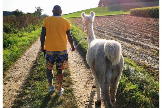 Lama Moment - 2h Tour für 2 Personen, in Jura 5 