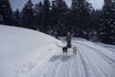Husky exclusif - pour 2 personnes 3