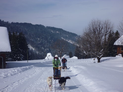 Husky exclusif - pour 2 personnes 2 