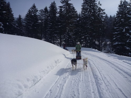 Husky exclusif - pour 2 personnes 3 