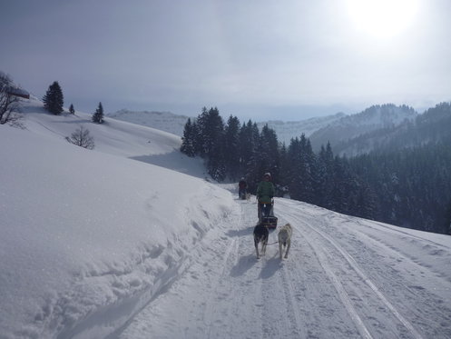 Husky exclusif - pour 2 personnes 4 