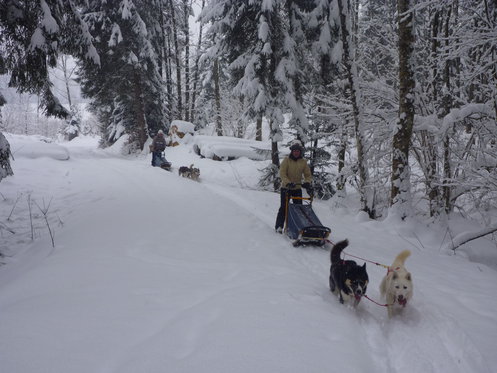 Husky exclusif - pour 2 personnes 12 