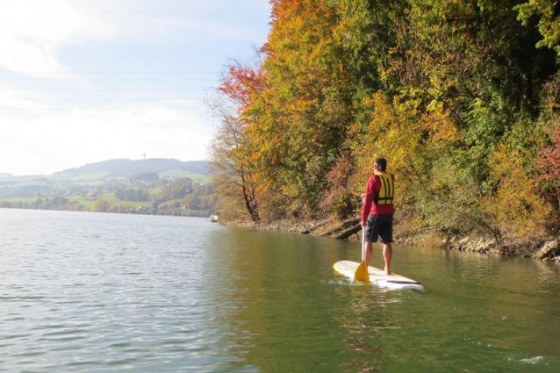 Stand Up Paddle - Location demi-journée  