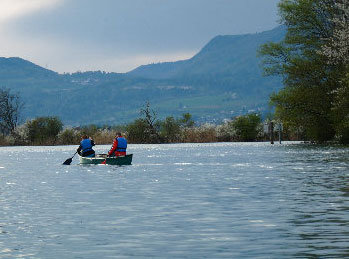 Kanu-Tour Aare - ganzer Tag 3 