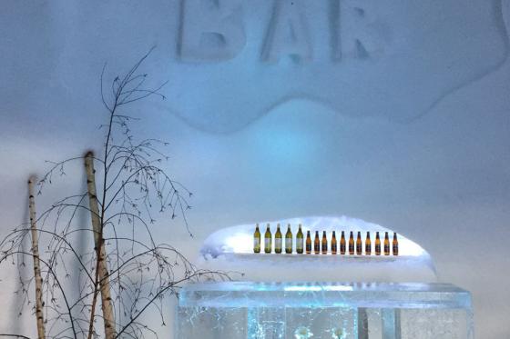 Fondue Menü im Iglu - für 1 Person in Leysin (VD) 10 