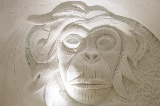 Nuit en igloo en famille - Incl. tour en raquettes et fondue 12 