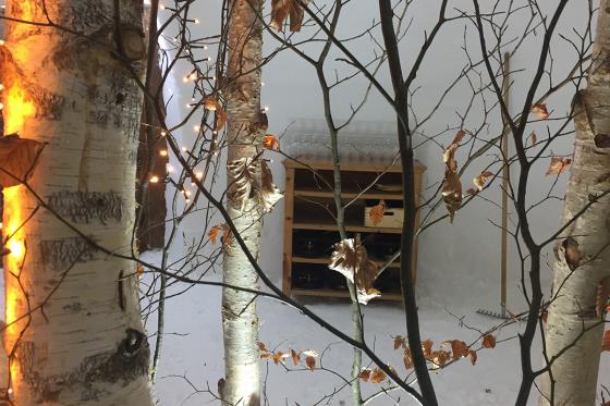 Menu fondue dans un igloo - Pour 2 personnes, à Leysin (VD) 17 