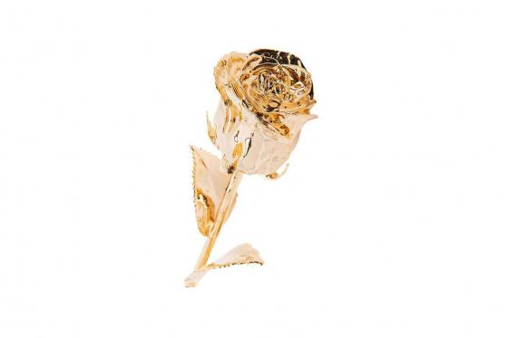 Rose en or (28 cm) - Avec coffret en cuir  