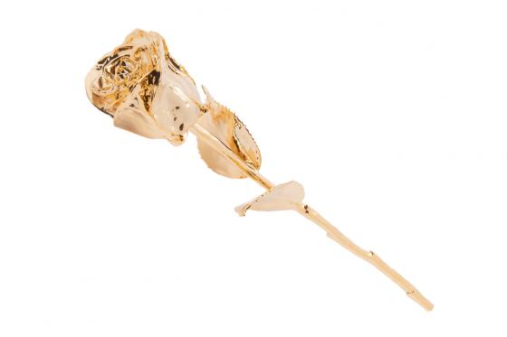 Rose en or (28 cm) - Avec coffret en cuir 2 