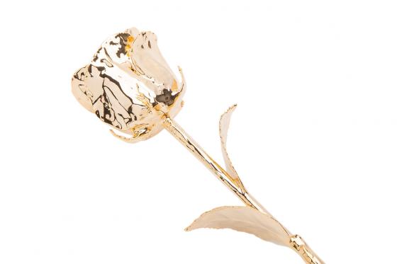 Rose en or (28 cm) - Avec coffret en cuir 3 