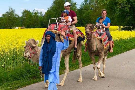 Monter à dos de chameau - Pour toute la famille  