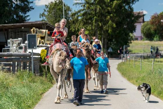 Monter à dos de chameau - Pour toute la famille 1 