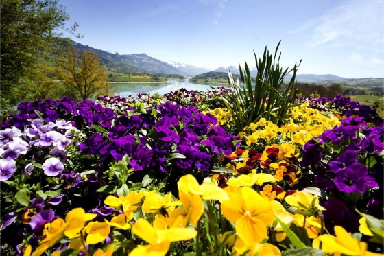 Kurzurlaub am Greyerzersee für 2 - inkl. Schokoladenfabrik- und Käsereibesuch 3 