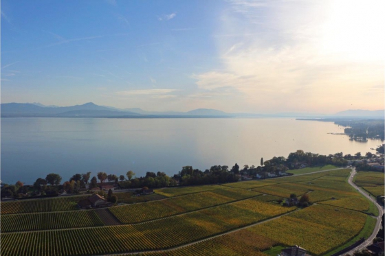 Ballonfahrt - in der Region Lausanne für 1 Person 7 