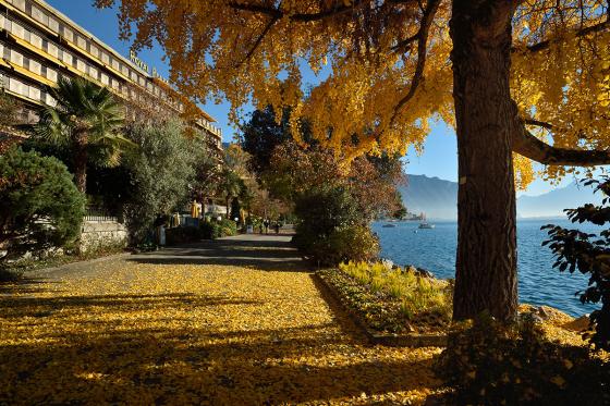 Séjour de luxe pour 2 personnes - Au Royal Plaza Montreux & Spa 10 