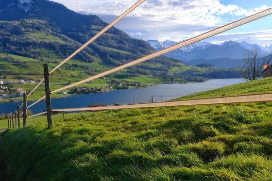 Jaguar Junior Suite - 1 Nacht für 2 Personen 17 