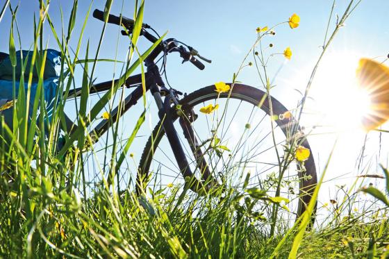 Jaguar Junior Suite - 1 Nacht für 2 Personen 18 