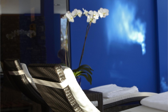 Day Spa pour 2 avec repas - Gourmet Spa Resort Lenkerhof 2 