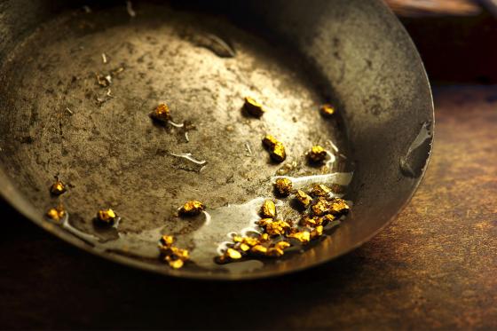 Orpaillage pour adultes - dans la région de Napf  