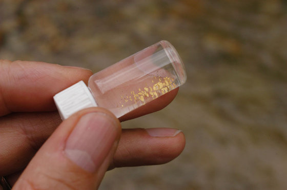 Orpaillage pour adultes - dans la région de Napf 2 