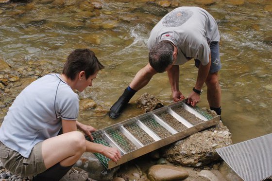 Orpaillage pour adultes - dans la région de Napf 4 
