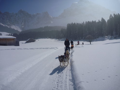 Découverte des Huskys - Cours d'une journée 2 
