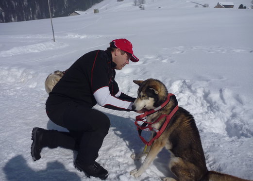 Découverte des Huskys - Cours d'une journée 6 
