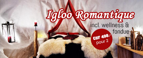 Séjour dans un igloo